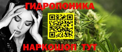 молекула духа Пенза
